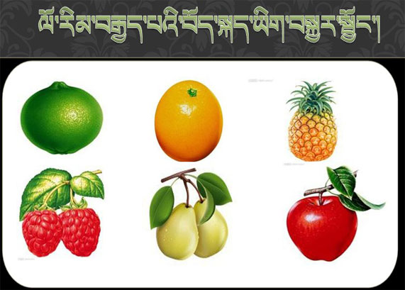 八年级藏文复习  课件形式.jpg