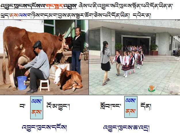 小学五年级上学期藏语文藏文语法《源》课件