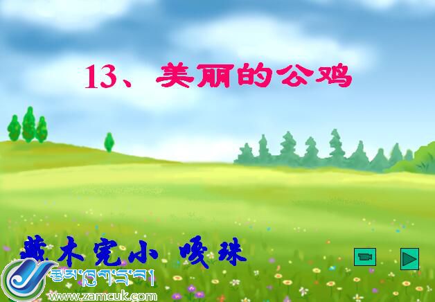 加查县藏木完小五年级上学期汉语文《美丽的公鸡》课件