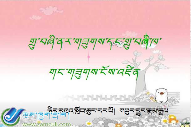 宁木特镇第一完小五年级下学期数学《长方体和正方体的认识》课件