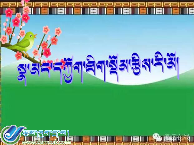 山南地区洛扎县扎日小学五年级下学期数学下册《复式折线统计图》课件