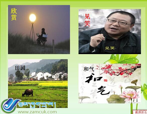 措美镇完小四年级上学期汉语文》蓝色的树叶》课件 (2).jpg