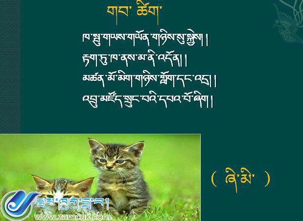 墨竹贡嘎县尼江乡小学四年级年级上学期藏语文《我家的猫》课件.jpg