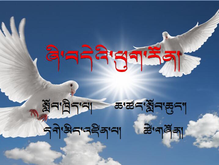 六年级下学期品德与社会《和平鸽》课件