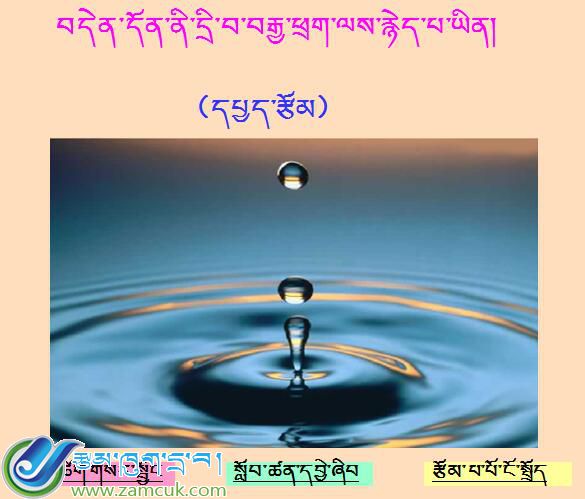 革吉县完全小六年级上学期藏语文《真理诞生于一百个问号之后》课件