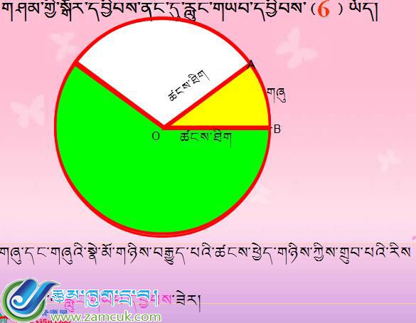 洛扎县扎日乡小学六年级上学期数学上册《扇统计》PPT课件
