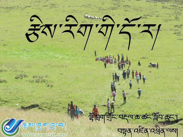 洛扎镇完小六年级上学期数学《鸡兔同笼问题》课件