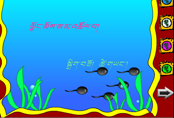 小学三年级上学期《小蝌蚪找妈妈》课件