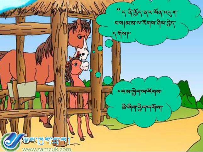 小学三年级上学期藏语文《小马过河》课件 (2).jpg