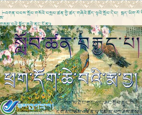 岗巴县昌龙小学三年级上学期藏语文《骄傲的孔雀》课件