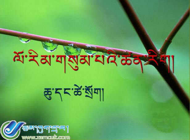 空港新区甲日小学三年级上学期科学《水和生命》课件