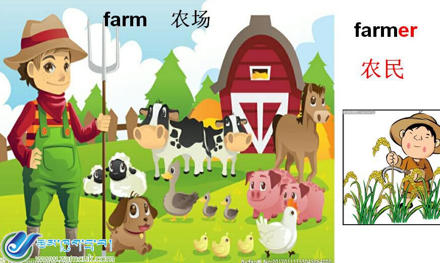 定结县日屋镇中心小学三年级下学期英语下册Unit 1《On the farm》课件 (2).jpg