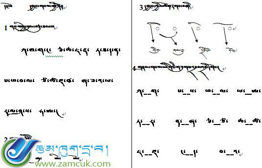 康马县少岗乡中心小学一年级上学期藏语文复习提纲 (2).jpg