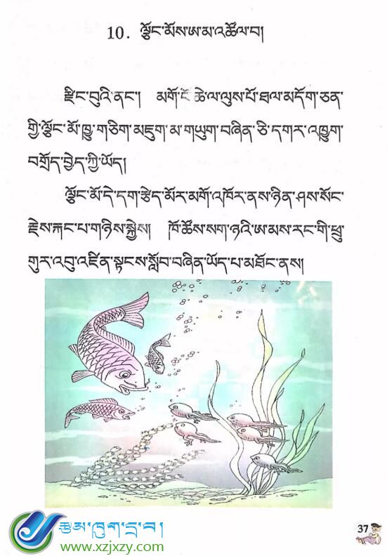 三年级下册 第十课 《泥鳅找妈妈》ལྕོང་མོས་ཨ་མ་འཚོལ་བ།